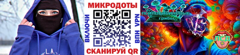 где купить   Оха  Псилоцибиновые грибы MAGIC MUSHROOMS 